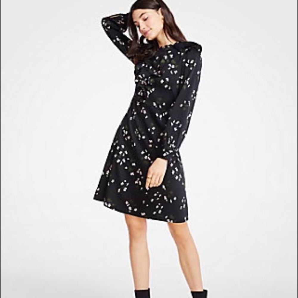 Ann Taylor Black Floral Long Sleeve Dress